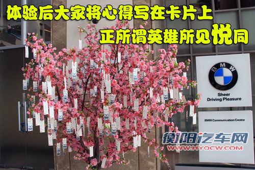 宝马(进口) Vision EfficientDynamics 概念车