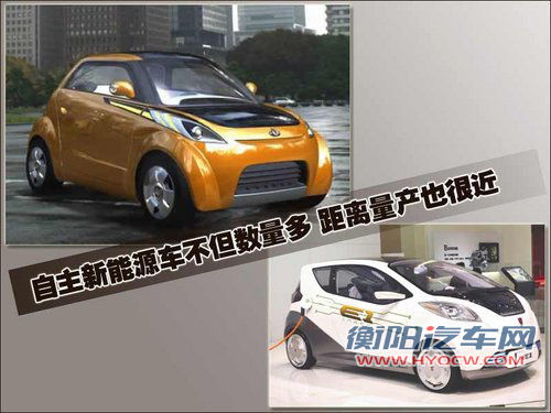 日产(进口) NISSAN LEAF 聆风电动车