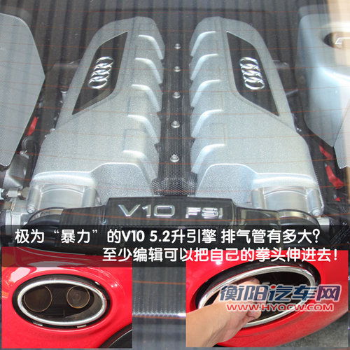 奥迪(进口) R8
