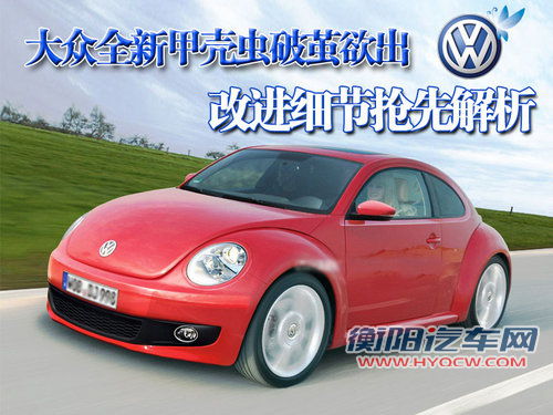 大众(进口) 甲壳虫beetle