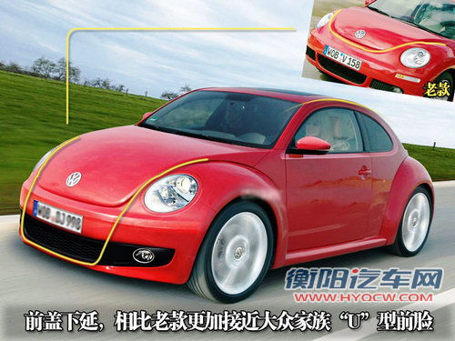 大众(进口) 甲壳虫beetle