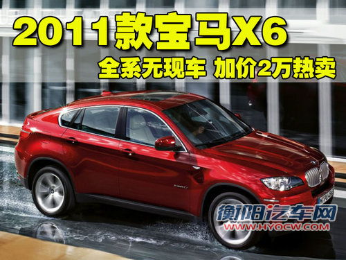 宝马(进口) X6