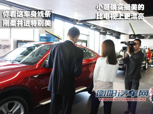 宝马(进口) X6