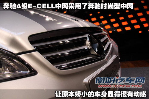 奔驰(进口) B系
