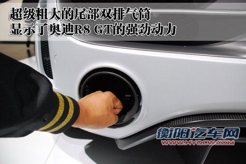 奥迪(进口) R8