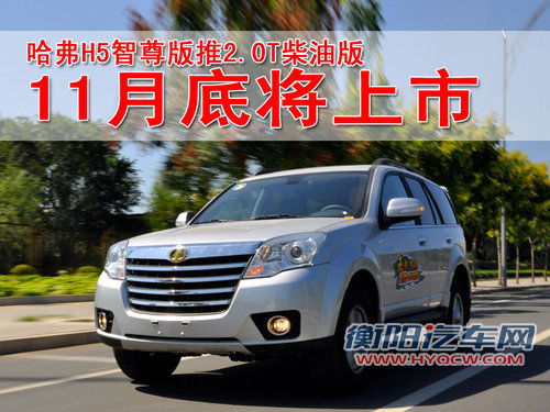 长城 哈弗H5 智尊版