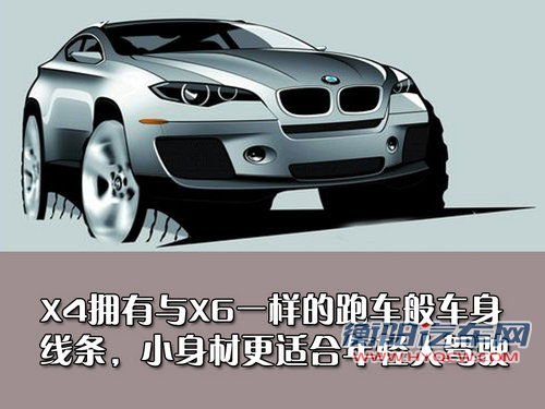 宝马(进口) 宝马新X3
