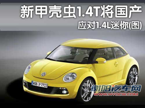 大众(进口) 甲壳虫beetle