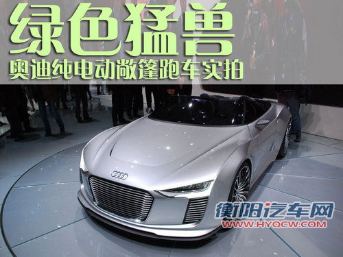 奥迪(进口) 奥迪E-tron 概念车
