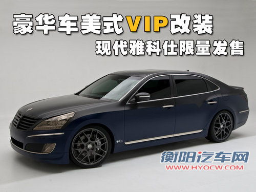 现代(进口) 新雅科仕