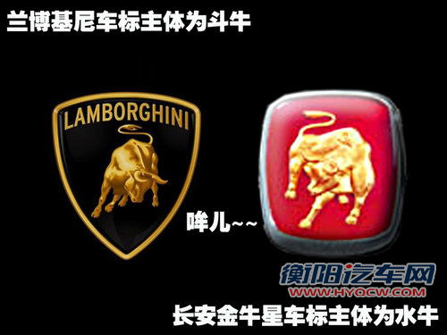 长安 金牛星