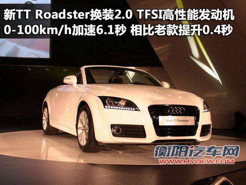 奥迪(进口) TT 2011款