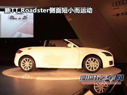 奥迪(进口) TT 2011款