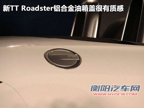 奥迪(进口) TT 2011款