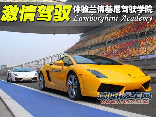 兰博基尼 Gallardo