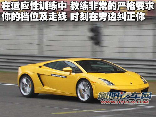兰博基尼 Gallardo