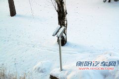 大众(进口) 新辉腾