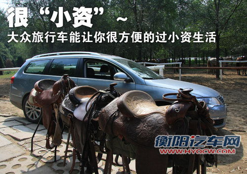 大众(进口) 大众 旅行轿车