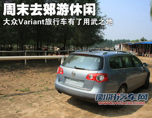 大众(进口) 大众 旅行轿车