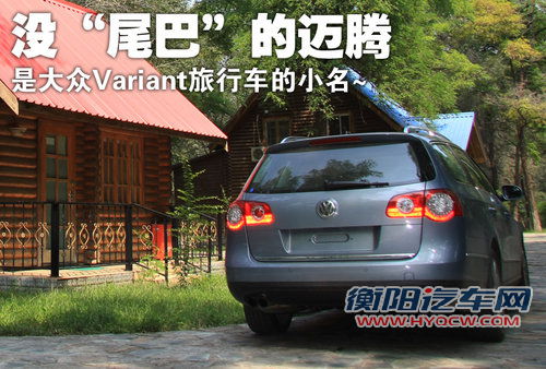 大众(进口) 大众 旅行轿车