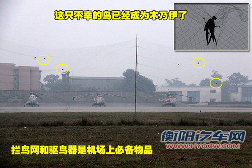 标致(进口) SR1概念车