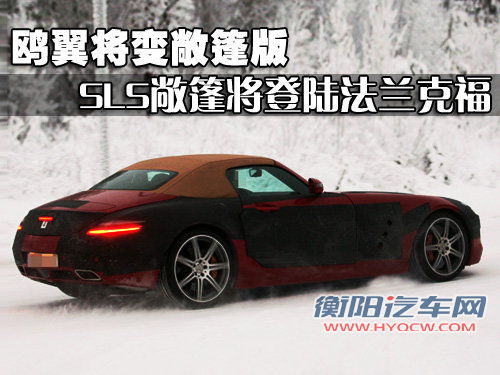 奔驰(进口) AMG