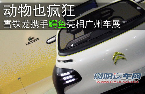 雪铁龙(进口) 雪铁龙Lacoste概念车