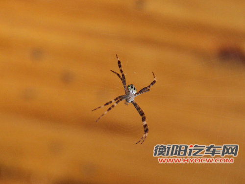 东风悦达起亚 K2