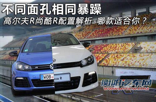 大众(进口)  高尔夫R 2.0TSI DSG