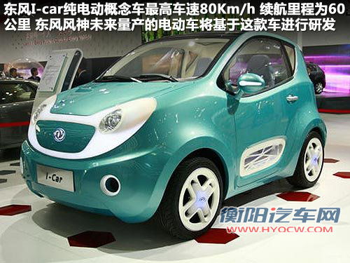日产(进口)  聆风电动车