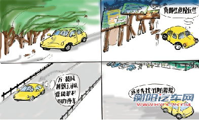 路遇梅超风怎么办 远离路边大树、广告牌