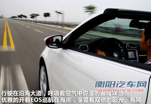大众(进口)  EOS 2.0TSI DSG