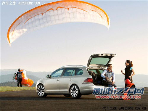 大众 大众(进口) 高尔夫(进口) 2011款 variant 高配版