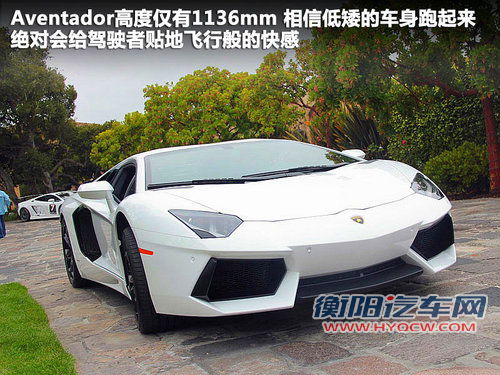 兰博基尼  LP700-4 6.5 AT