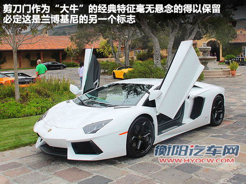 兰博基尼  LP700-4 6.5 AT
