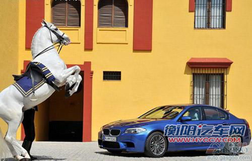 年终自卫战 2011年11月重磅上市新车一览