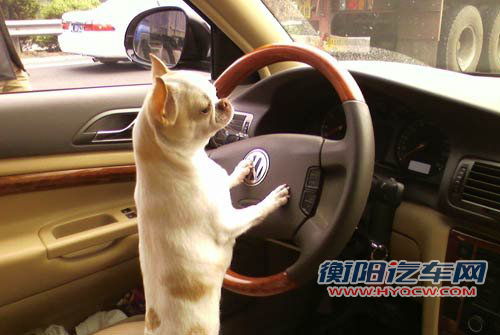 日常驾车需注意 一些小细节造成大问题