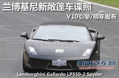 兰博基尼新敞篷车谍照 V10引擎/明年发布