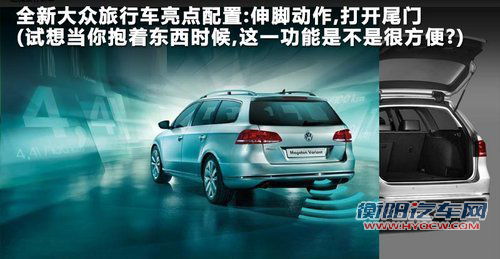 大众(进口)  大众 旅行轿车 2.0T DSG