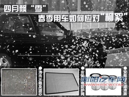 四月飘“雪” 春季用车如何应对“杨柳絮”