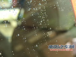 涂抹方式找不同 实测雨敌使用效果