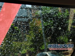 涂抹方式找不同 实测雨敌使用效果