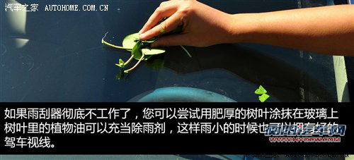 拒绝危险发生!秋季开车/用车达人手册