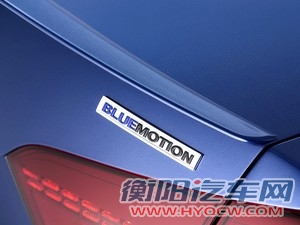 大众大众(进口)Passat2014款 BlueMotion
