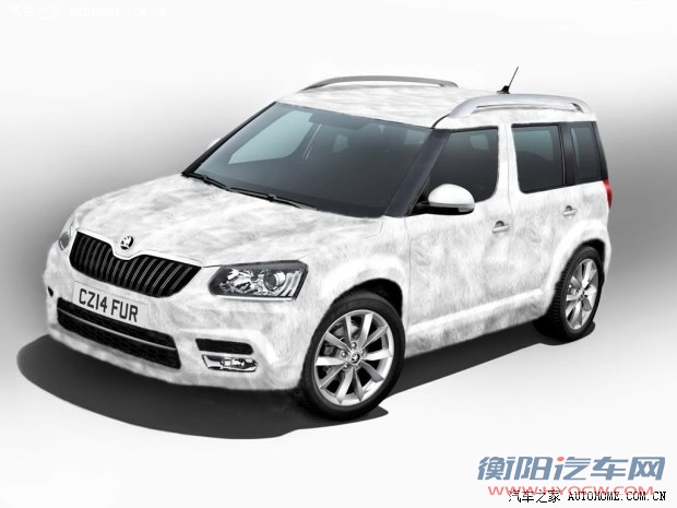 斯柯达斯柯达(进口)Yeti(进口)2014款 Ice special edition