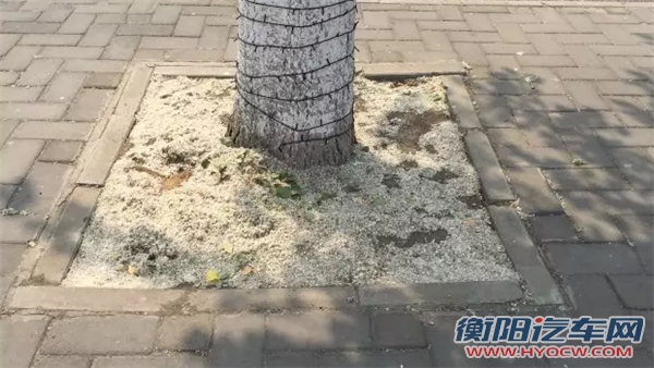 ，北京蟹岛电动大巴,电动大巴着火，电动汽车安全